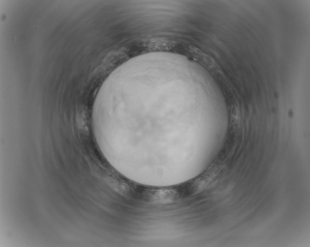 X0000076220663200610191534