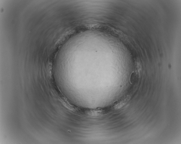 X0000076220664200610191534