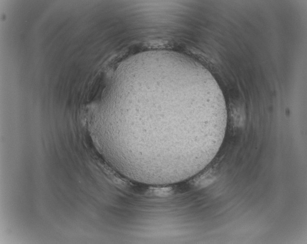 X0000076220665200610191534