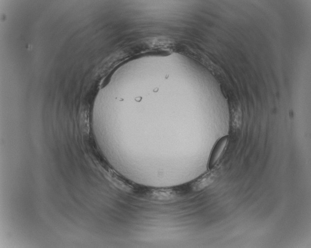 X0000076220666200610191534