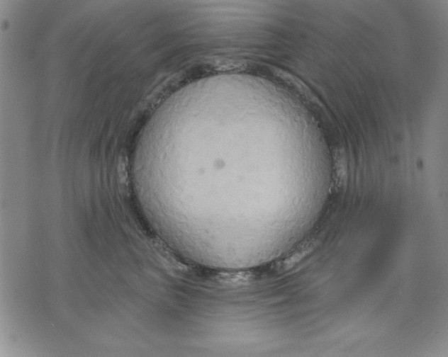 X0000076220667200610191534