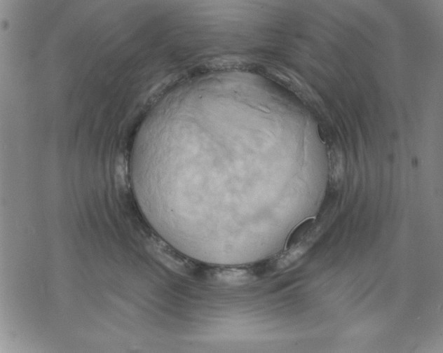 X0000076220669200610191534