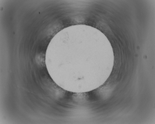 X0000076220672200610191534