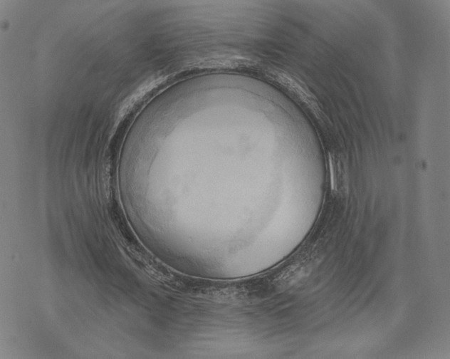 X0000076220675200610191533