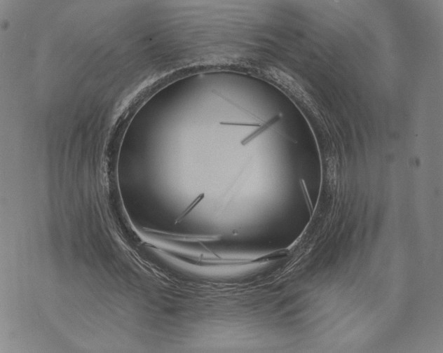 X0000076220676200610191533