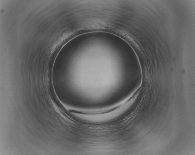 X0000076220677200610191533