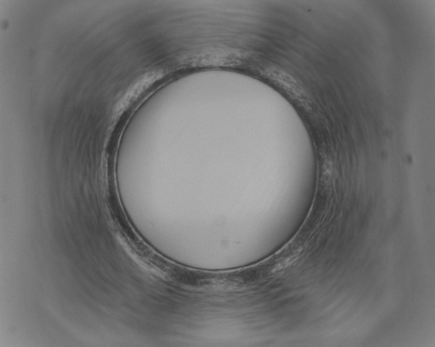 X0000076220678200610191533