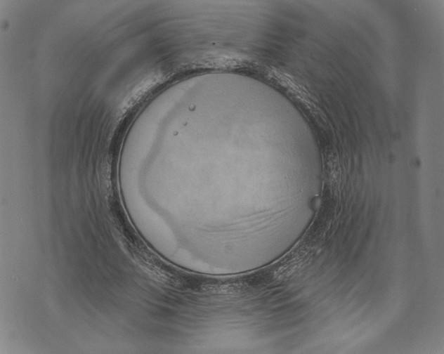 X0000076220679200610191533