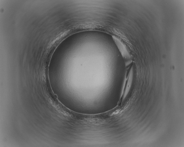 X0000076220681200610191533