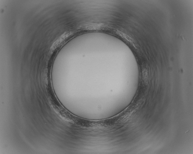 X0000076220682200610191533