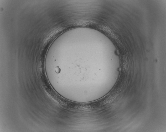 X0000076220683200610191533