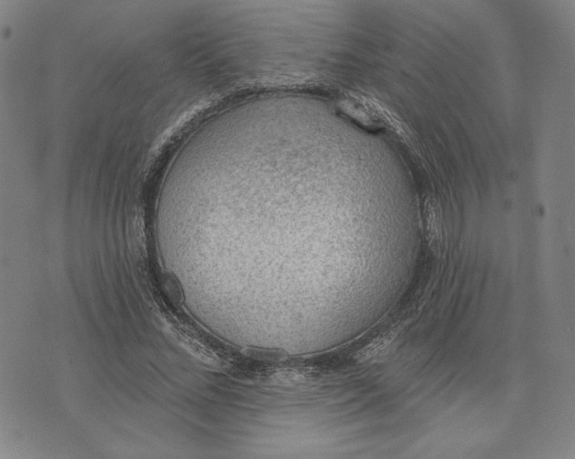 X0000076220684200610191533