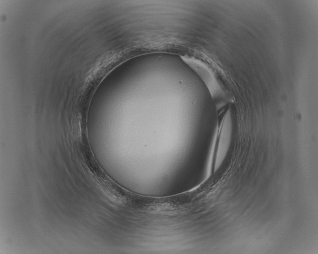 X0000076220685200610191533