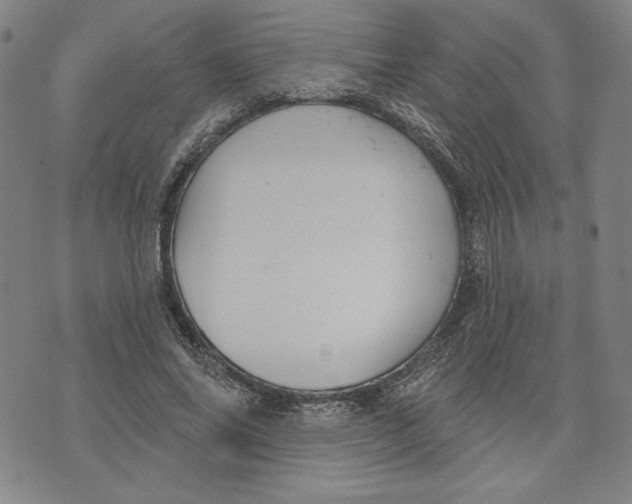 X0000076220686200610191533