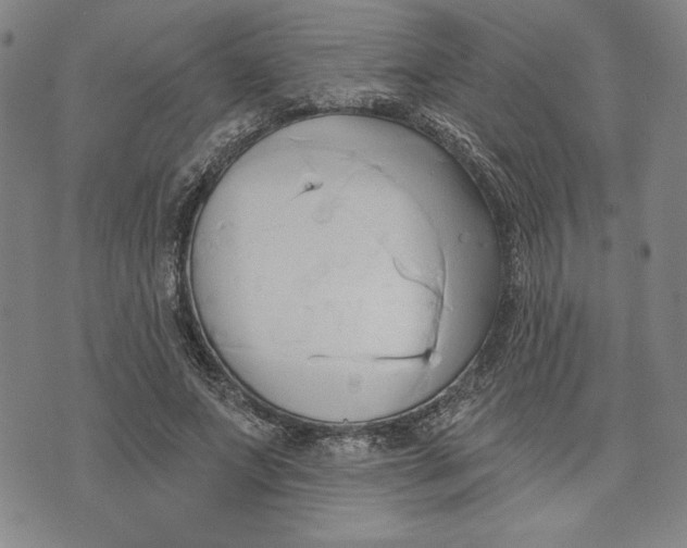 X0000076220687200610191533