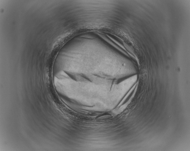 X0000076220688200610191533