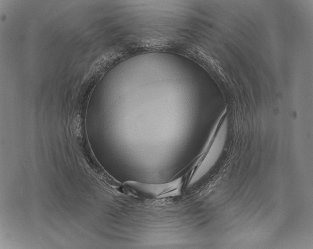 X0000076220689200610191533