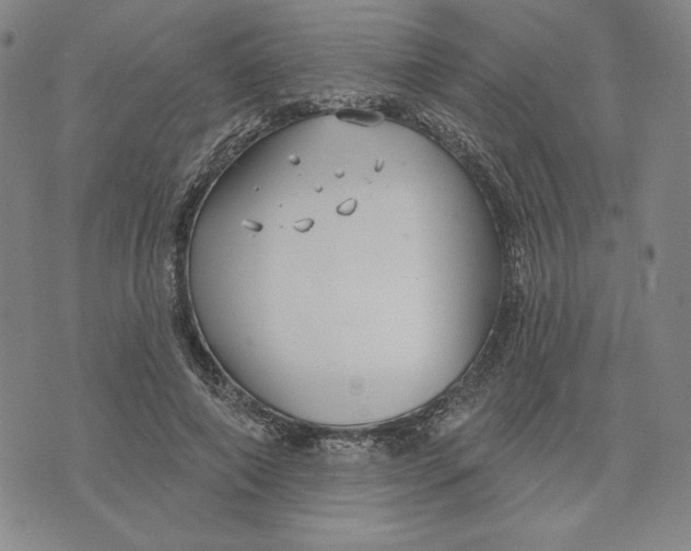 X0000076220690200610191533