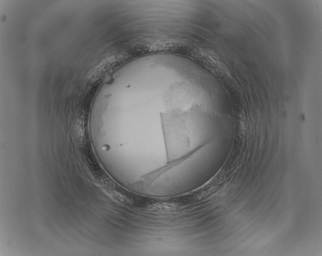 X0000076220691200610191533