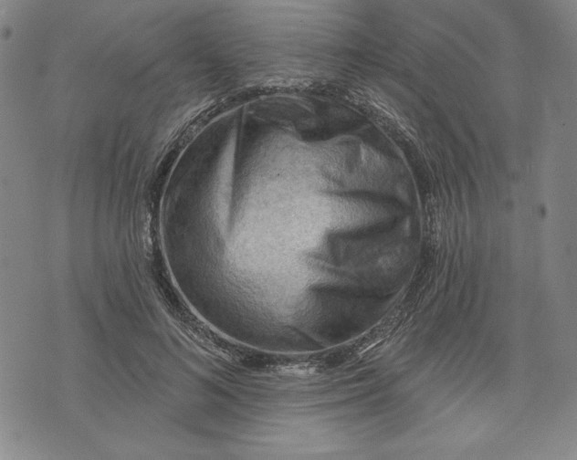 X0000076220692200610191533