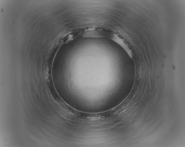 X0000076220693200610191533