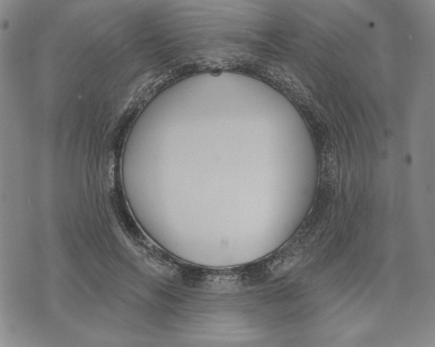 X0000076220694200610191533