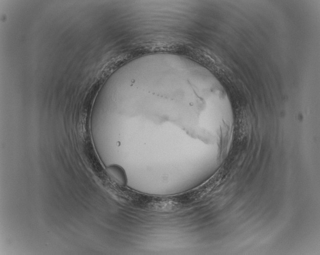 X0000076220695200610191533