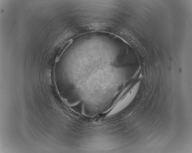 X0000076220696200610191533