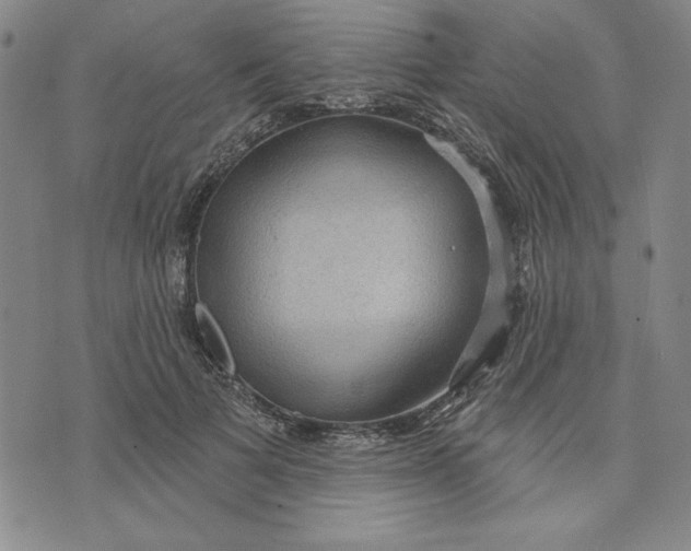 X0000076220697200610191533