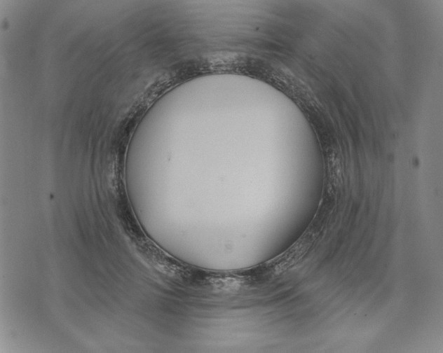 X0000076220698200610191533