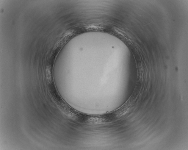 X0000076220699200610191533