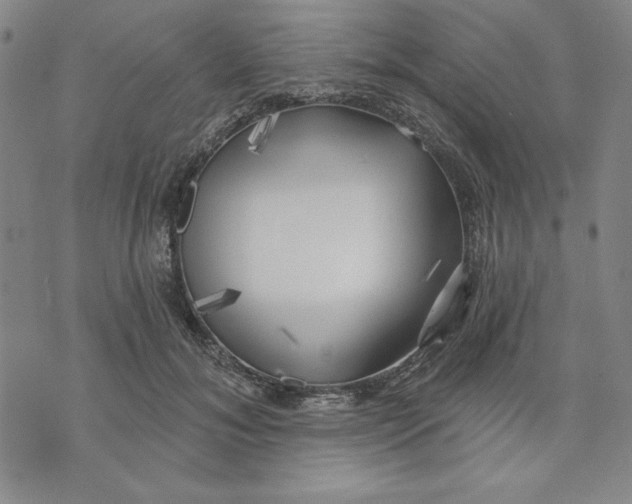 X0000076220700200610191533