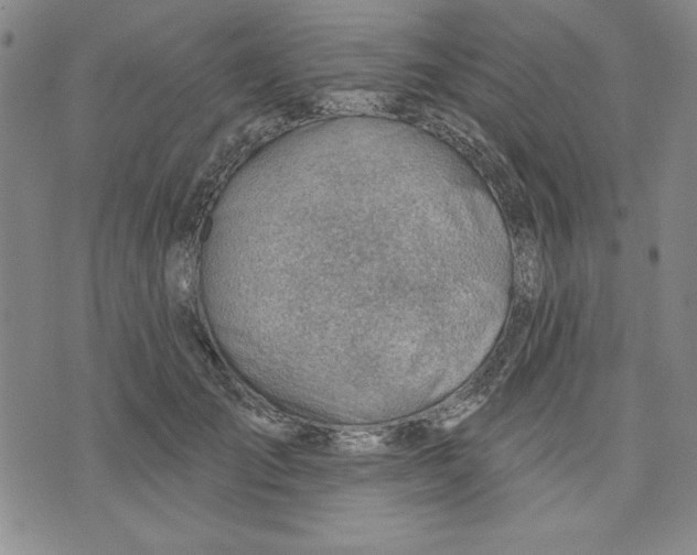 X0000076220701200610191533