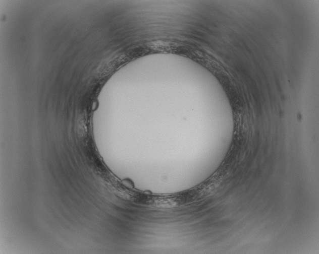 X0000076220702200610191533