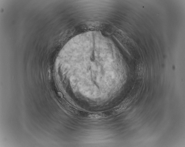 X0000076220703200610191533