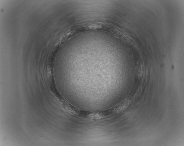 X0000076220704200610191533