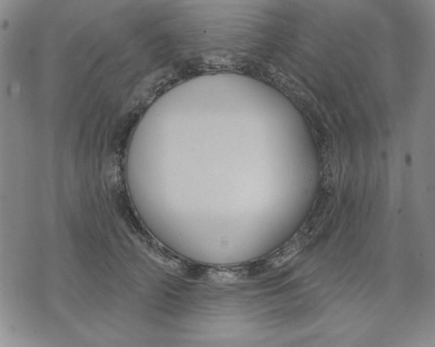 X0000076220706200610191533