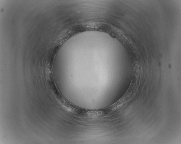 X0000076220707200610191533