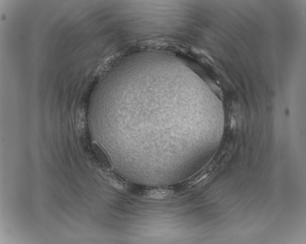 X0000076220708200610191533