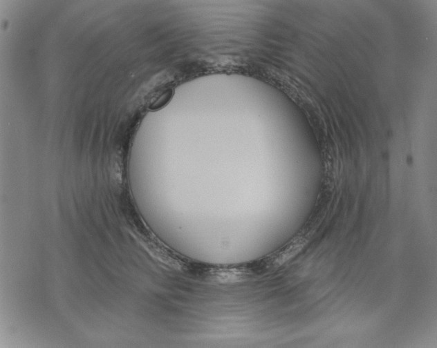 X0000076220710200610191533