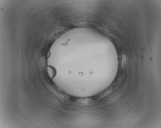 X0000076220711200610191533