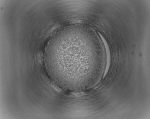 X0000076220712200610191533