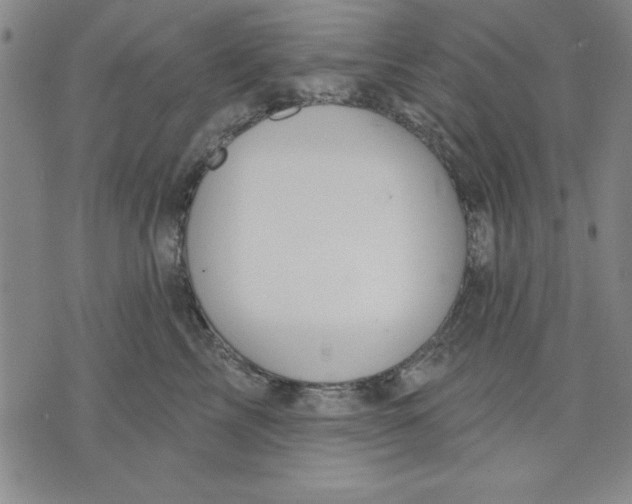 X0000076220713200610191533