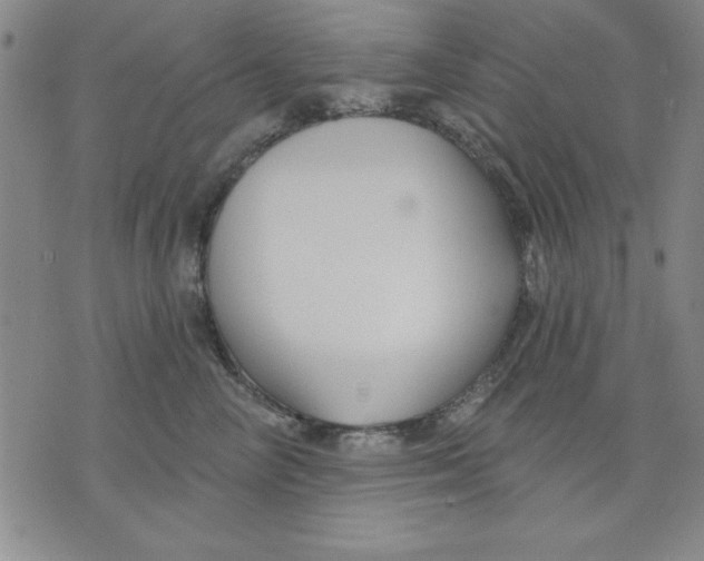 X0000076220714200610191533