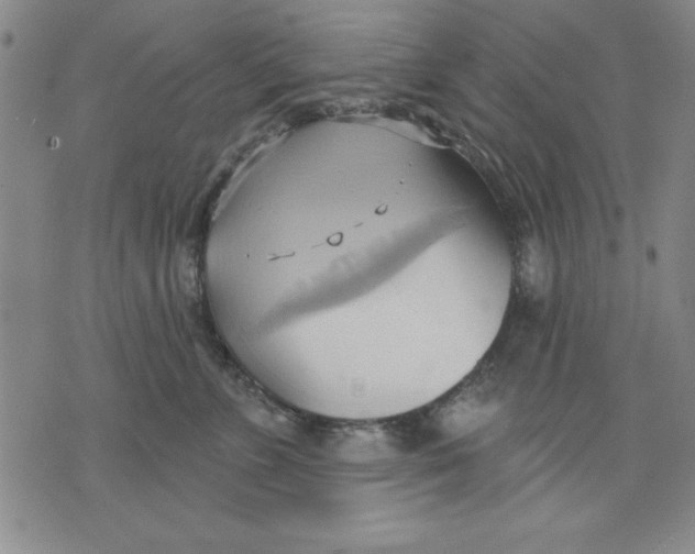 X0000076220715200610191533