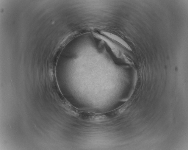 X0000076220716200610191533