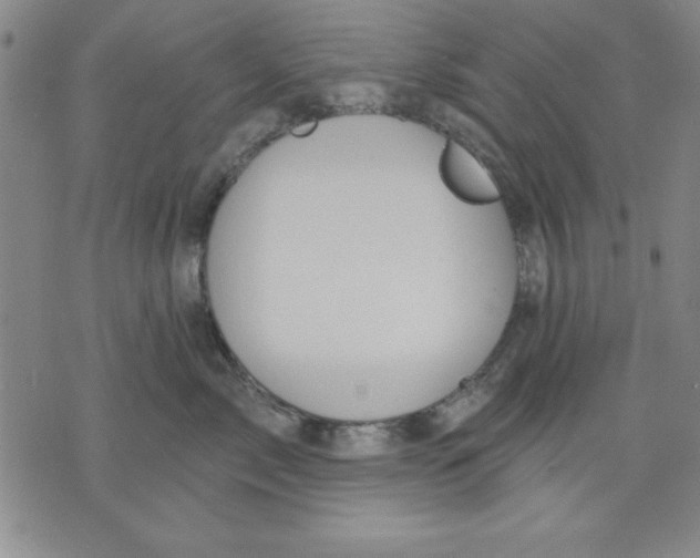 X0000076220717200610191533