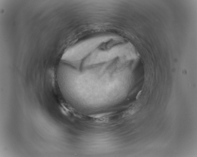 X0000076220720200610191533