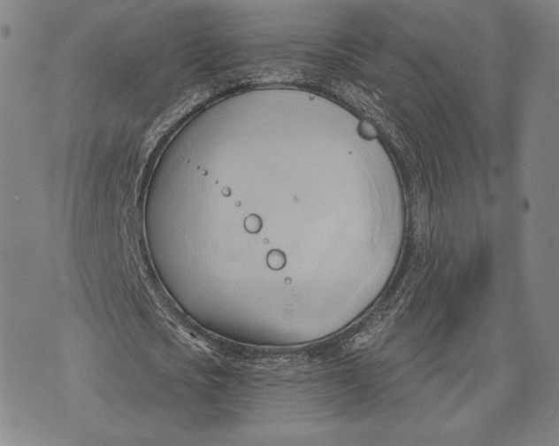 X0000076220721200610191532