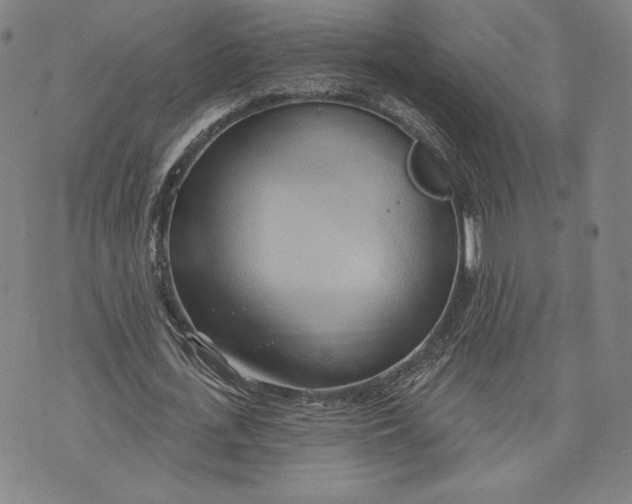 X0000076220723200610191532